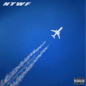 男人鸡鸡插入女人逼逼的视频
